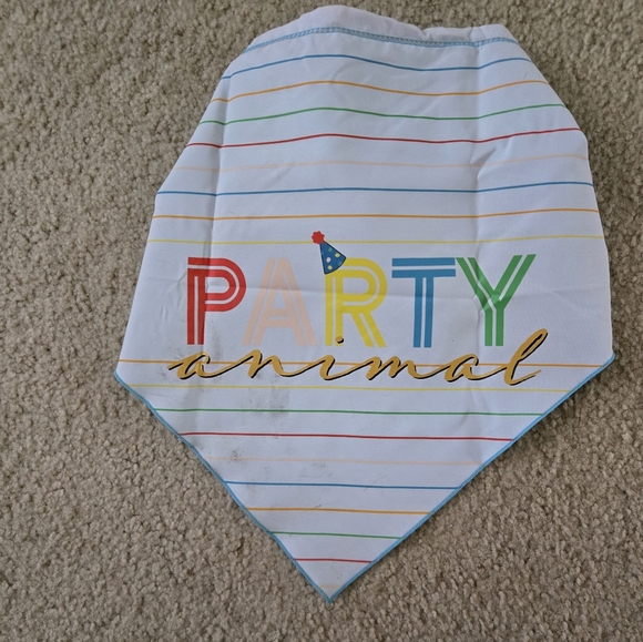 Colorful 'Gotcha Day' Dog Bandana - Picture 2 of 2